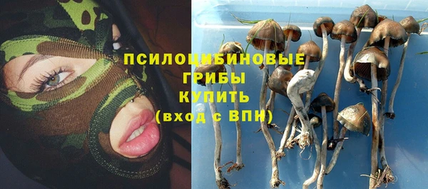 МДПВ Магадан